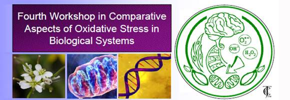 I Congreso de la Rama de Radicales Libres y estrés Oxidativo 4rd International Workshop on Comparative Aspects of Oxidative Stress in Biological Systems