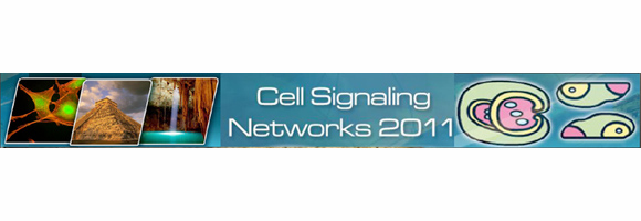 Cell Signalig Networks 2011