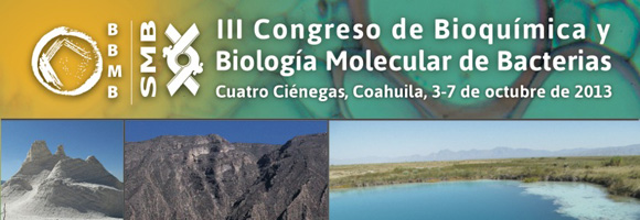 III Congreso de Bioquímica y Biología Molecular de Bacterias