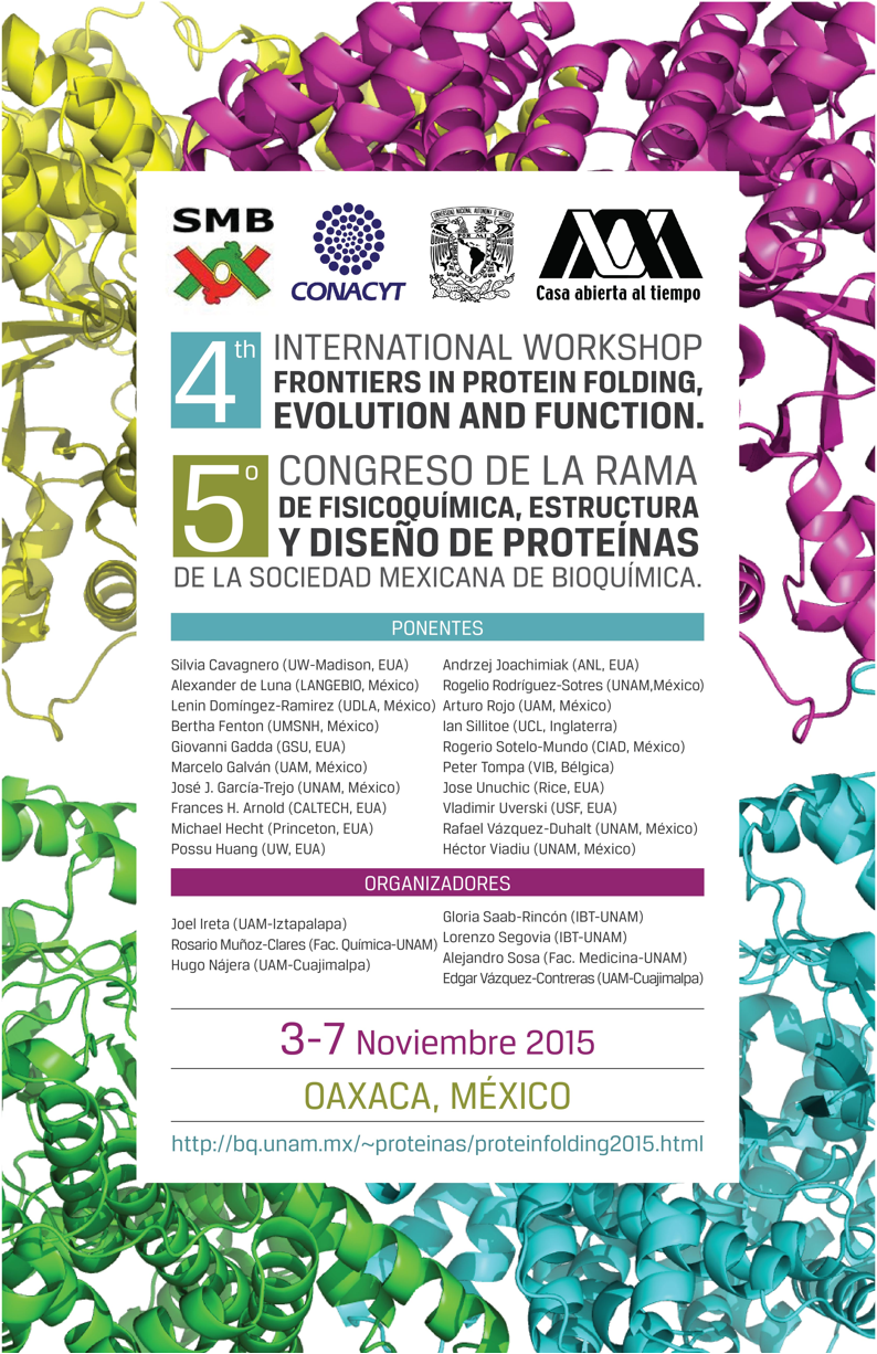 Poster Quinto Congreso de la Rama de Fisicoquímica, Estructura y Diseño de Proteínas