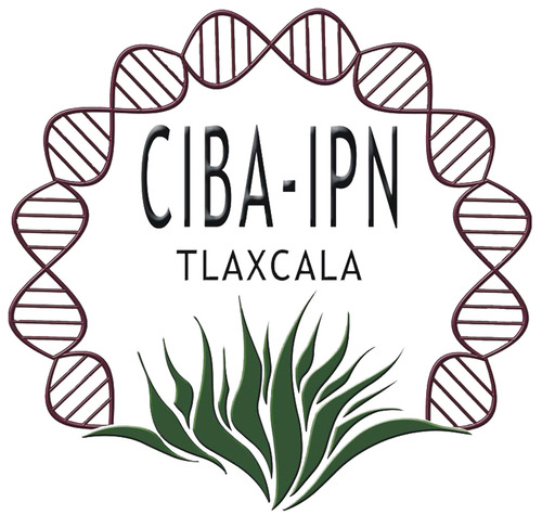 CIBA-IPN