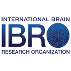 Logo INTERNATIONAL BRAIN RESEARCH ORGANIZATION