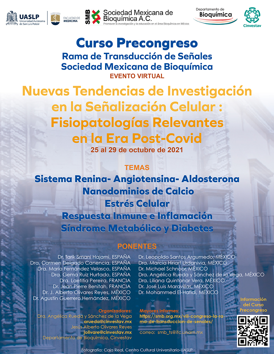 Curso Precongreso