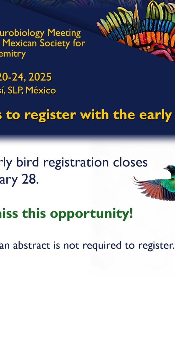 Early bird VI neurobiology