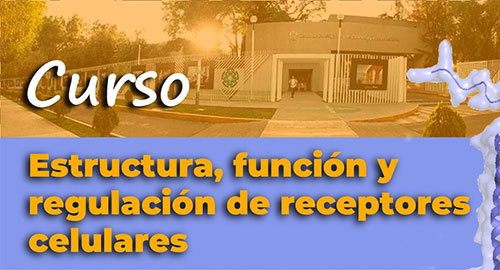 Estructura, función y regulación de receptores celulares